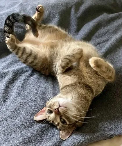 Debbie   `a thumbnail 2