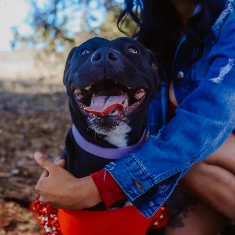Melanie thumbnail 2