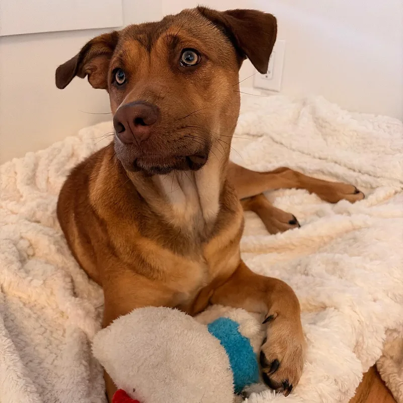 Lila Jean thumbnail 2