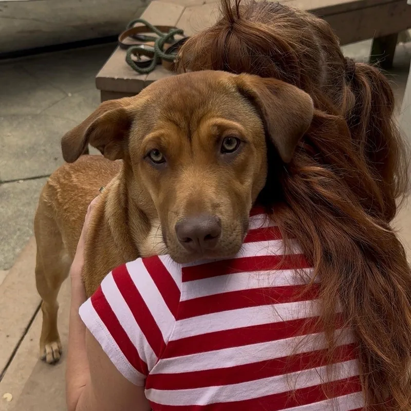 Lila Jean thumbnail 3