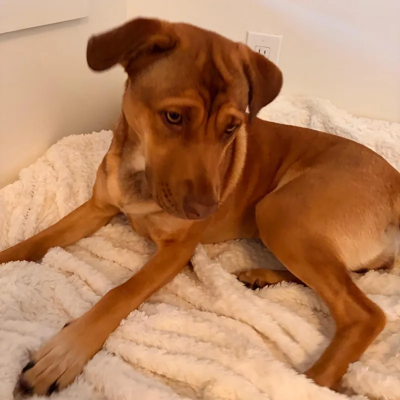 Lila Jean thumbnail 4