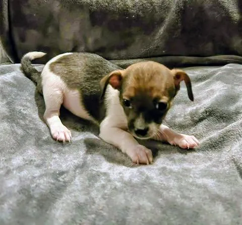 Nelson Liam thumbnail 2