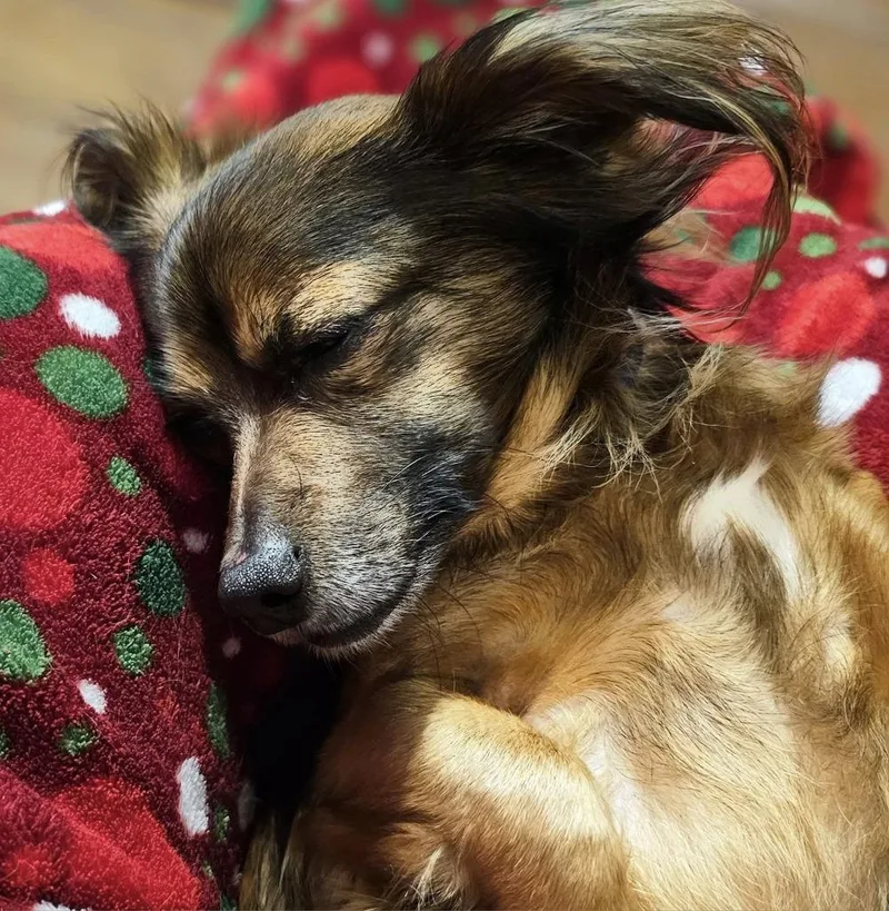 Ludwig Von Bethoven thumbnail 5