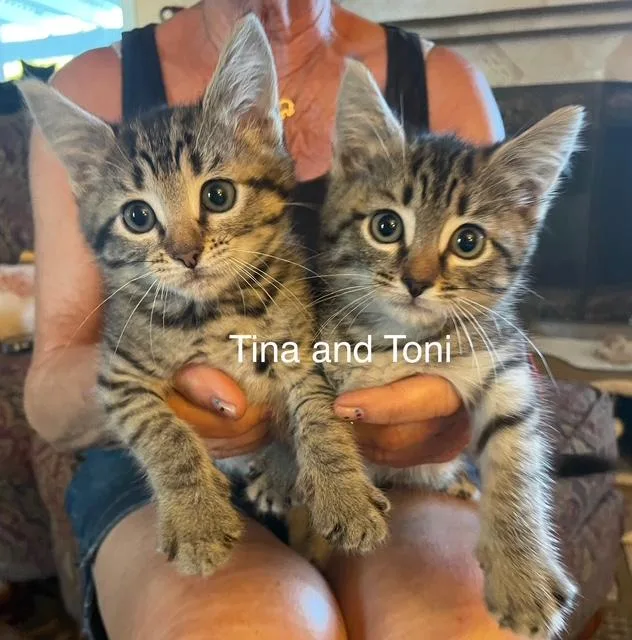 Tina & Toni
