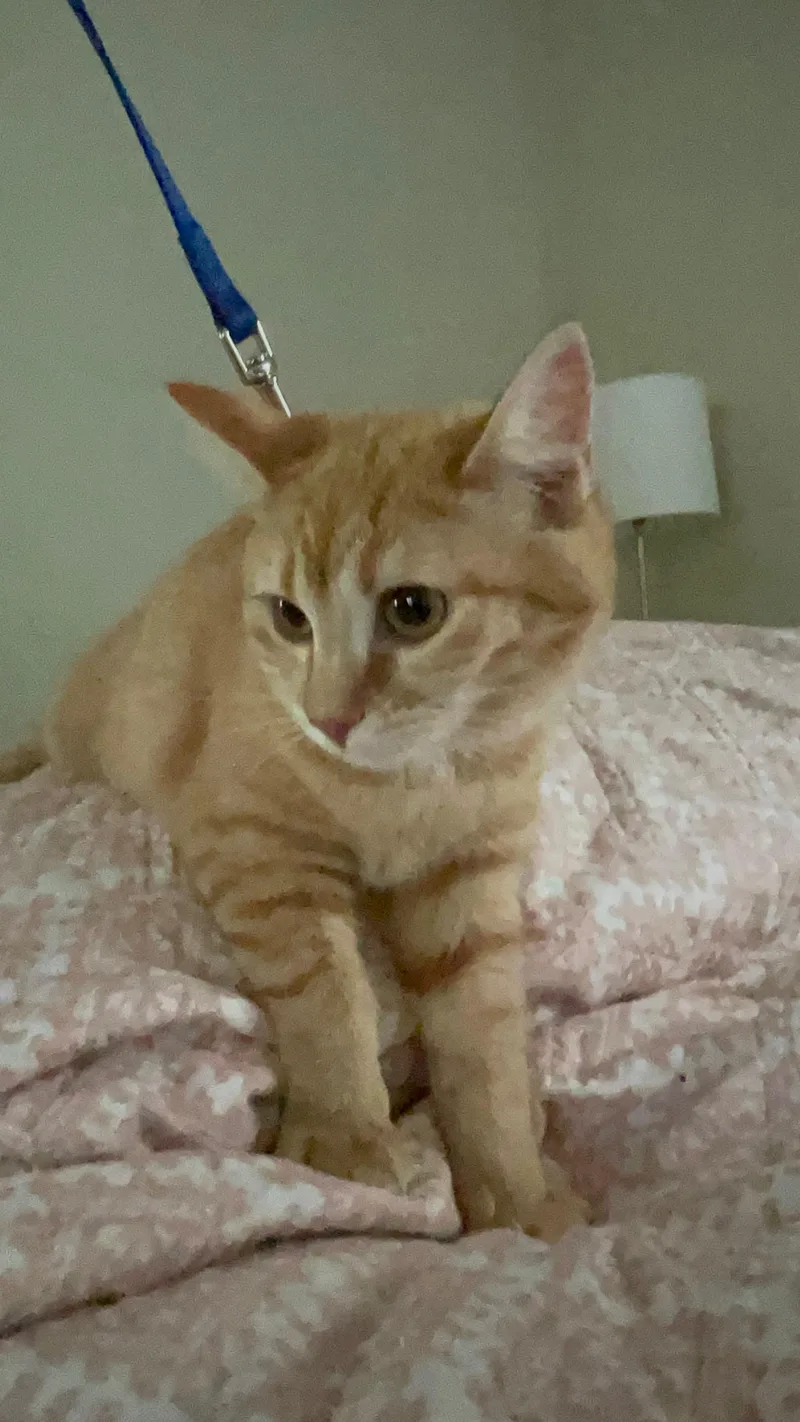 Freya & Ginny thumbnail 2