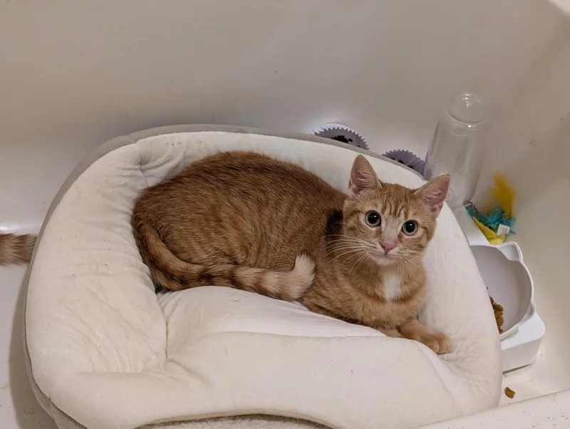 Freya & Ginny thumbnail 3