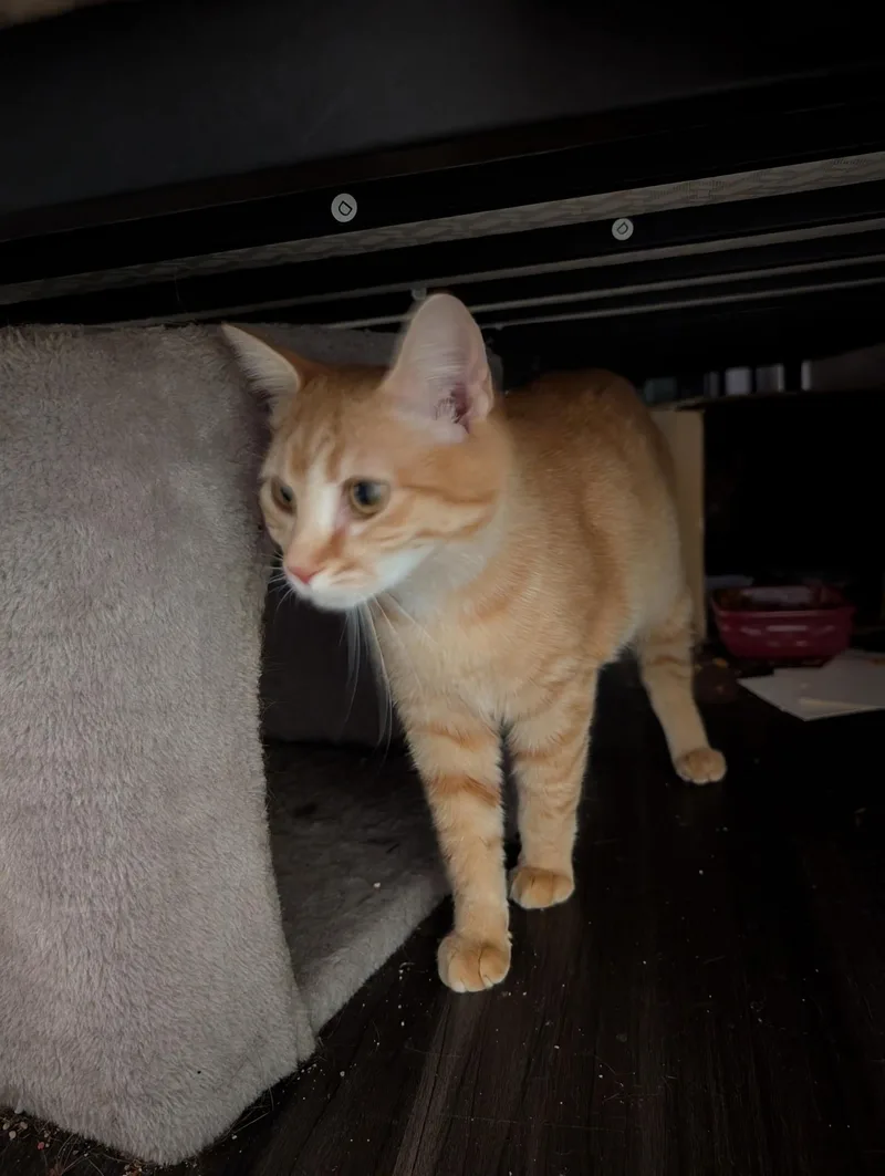 Freya & Ginny thumbnail 4