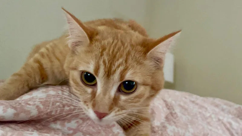 Freya & Ginny thumbnail 5