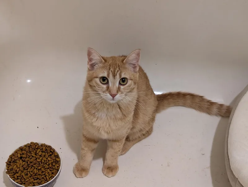 Freya & Ginny thumbnail 6