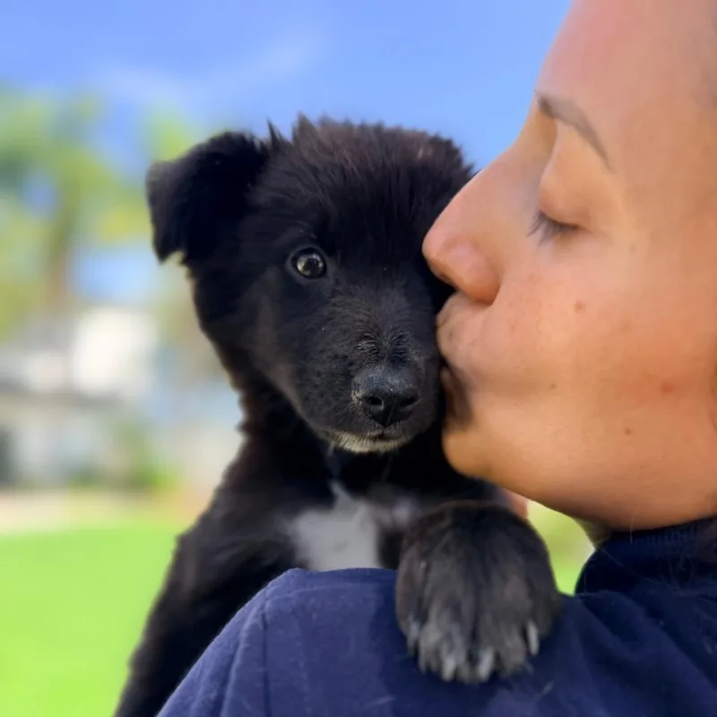 Osita thumbnail 6