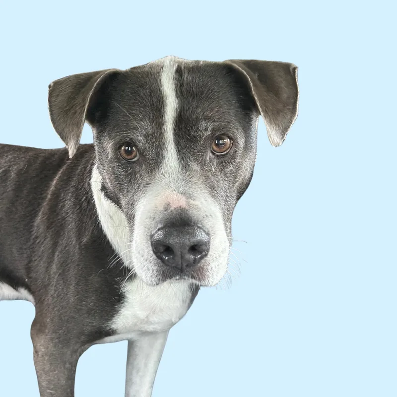 Maggie thumbnail 2