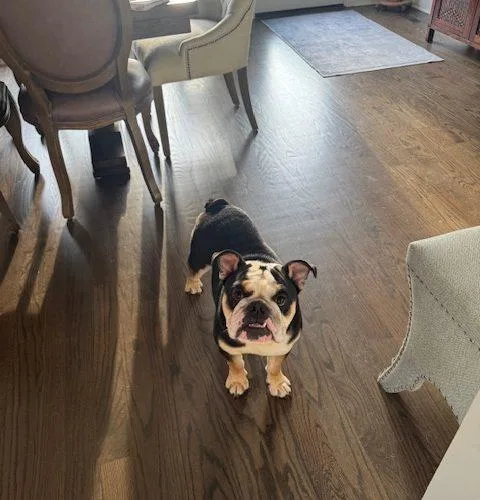 Kash