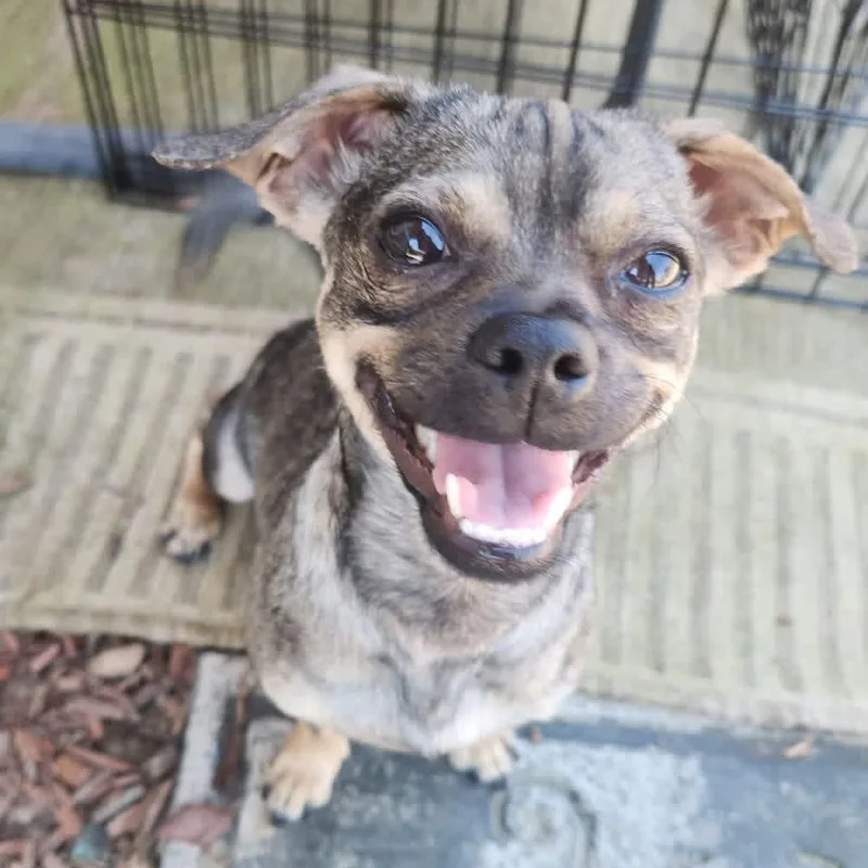 Ms. Loving Eve thumbnail 2