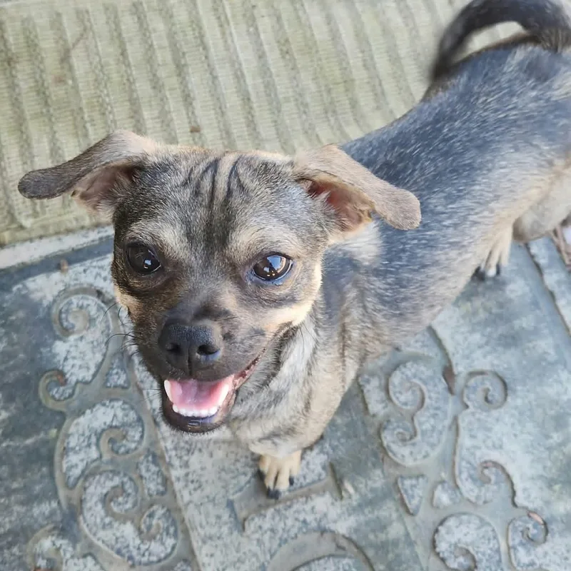 Ms. Loving Eve thumbnail 3