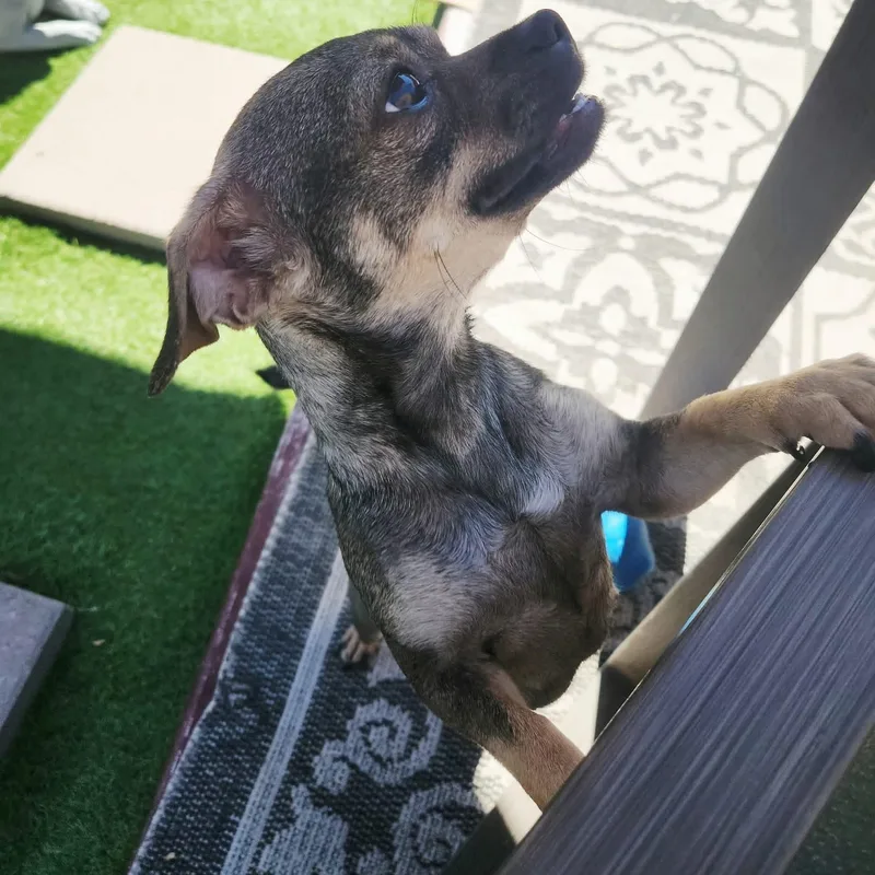 Ms. Loving Eve thumbnail 4