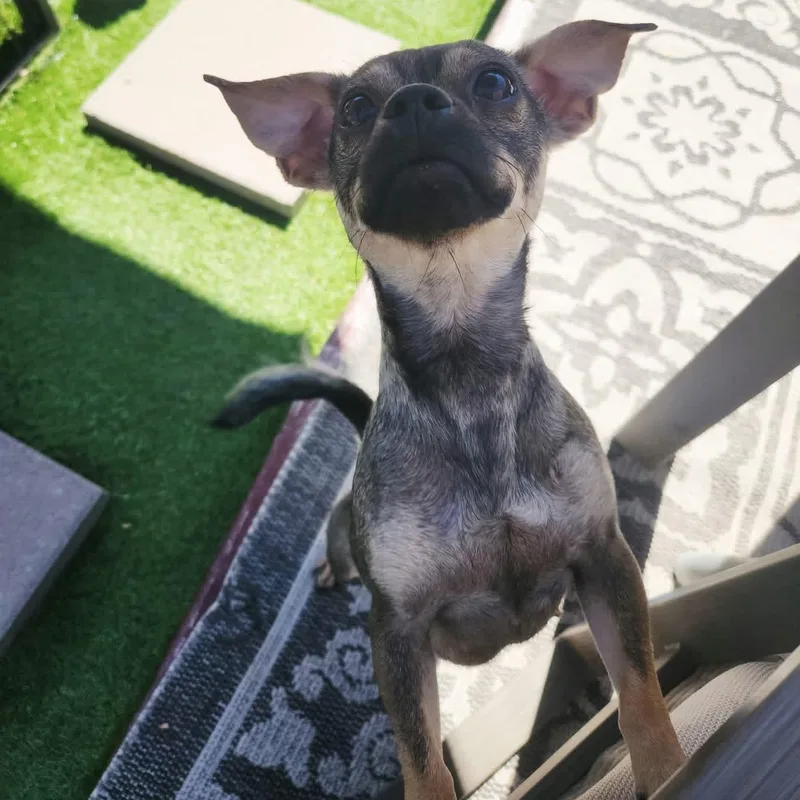 Ms. Loving Eve thumbnail 6