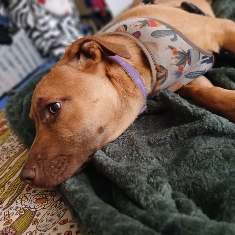 Zoe