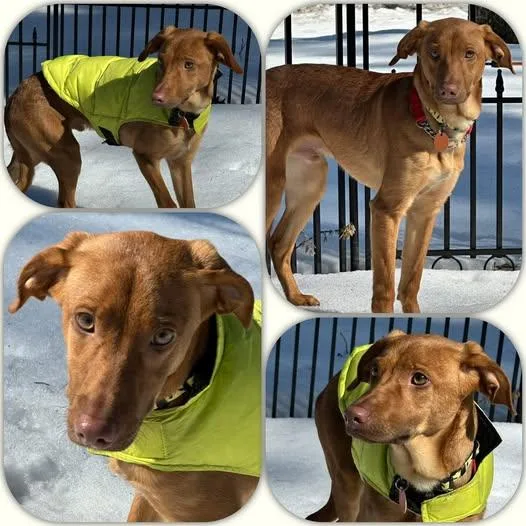 That Guy thumbnail 2