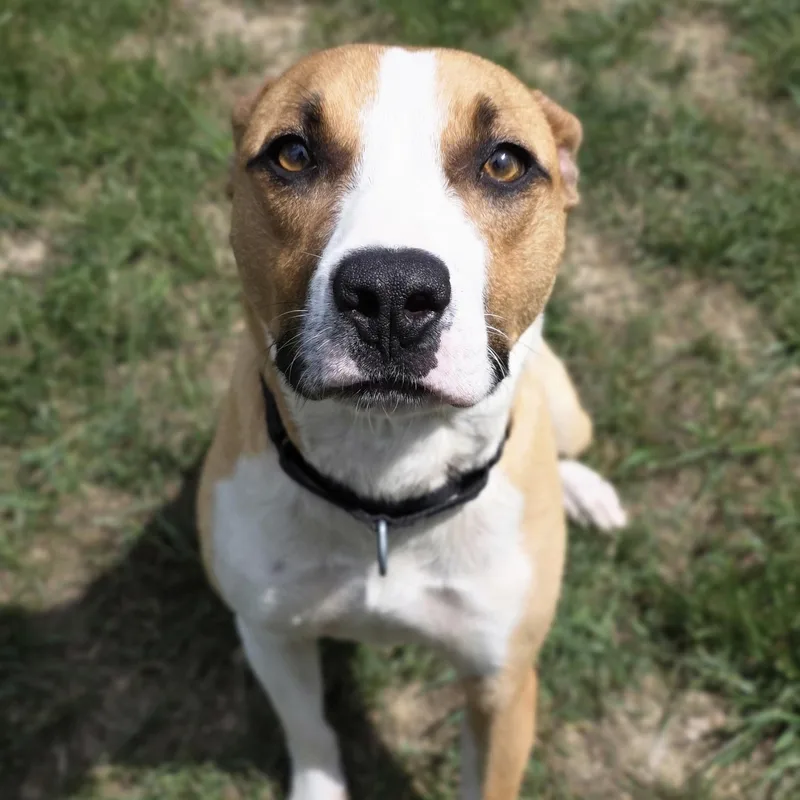 Tic Tac Toe thumbnail 3