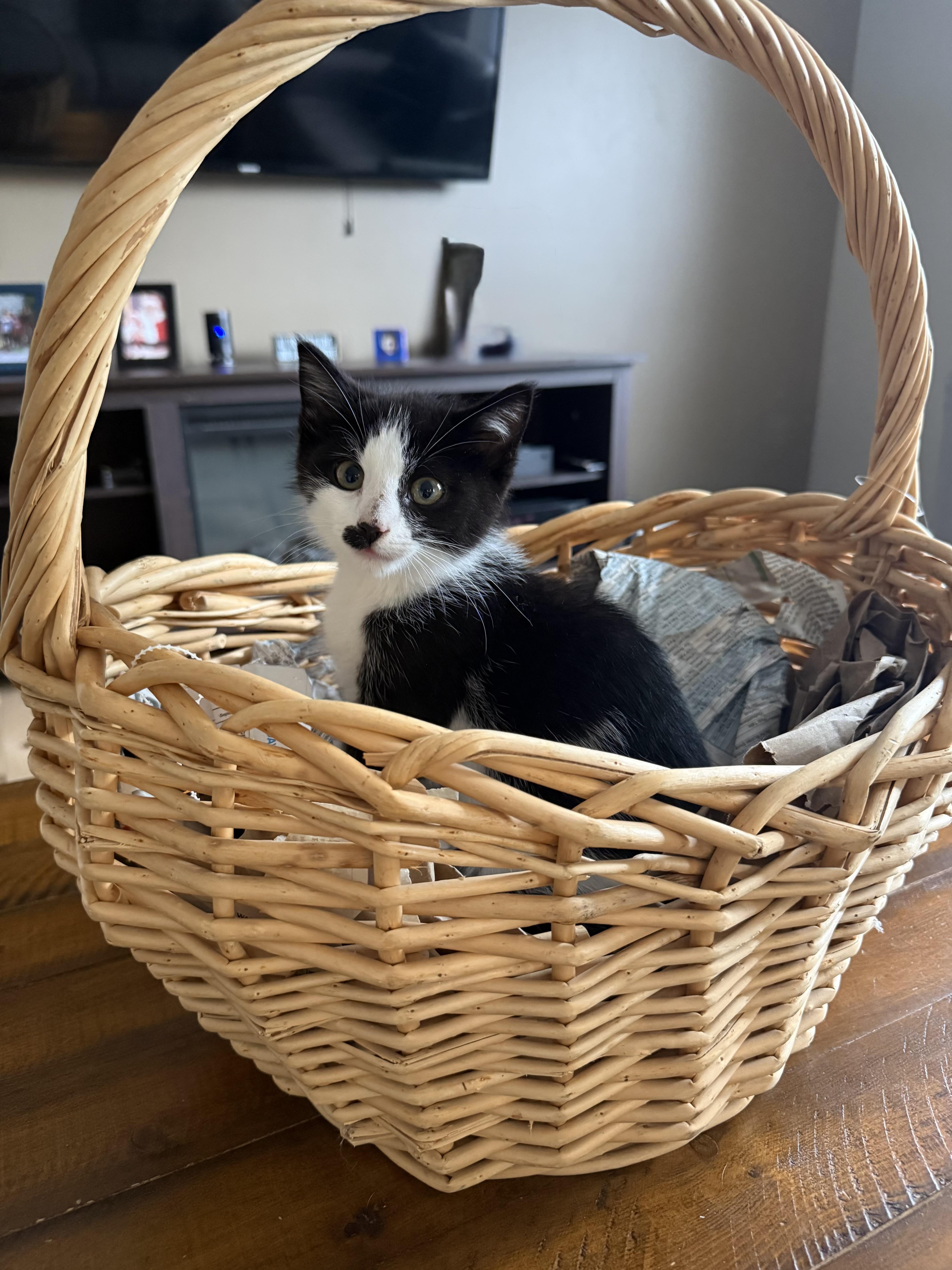 Charlie Chaplin thumbnail 3