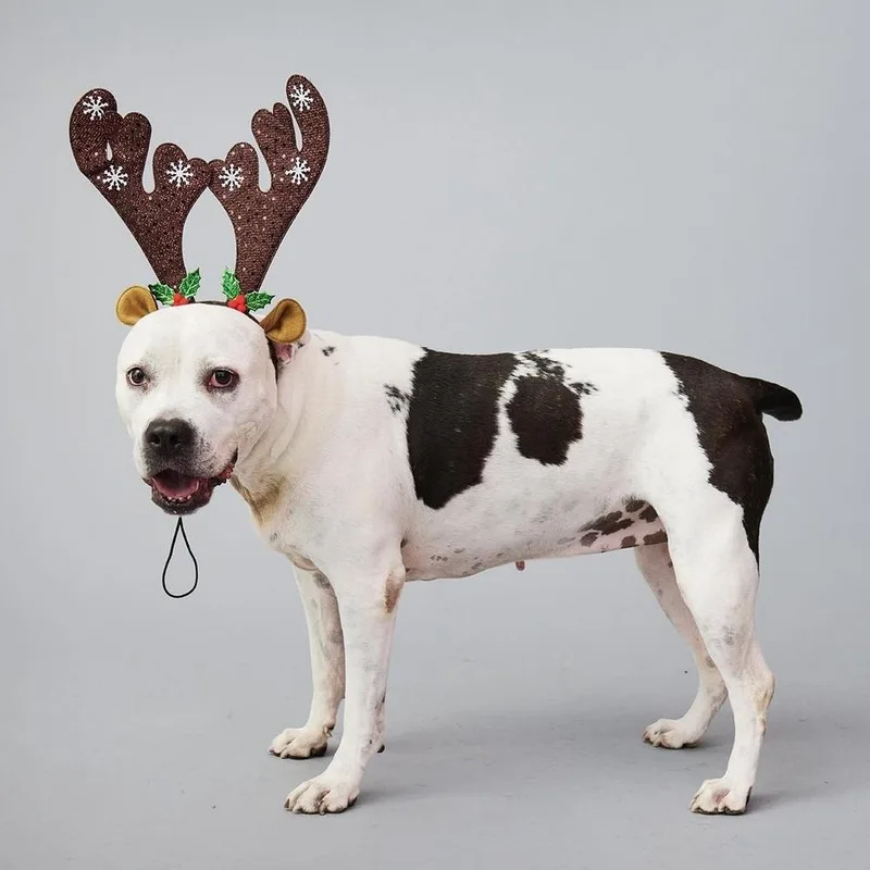 Lilly Claire thumbnail 2