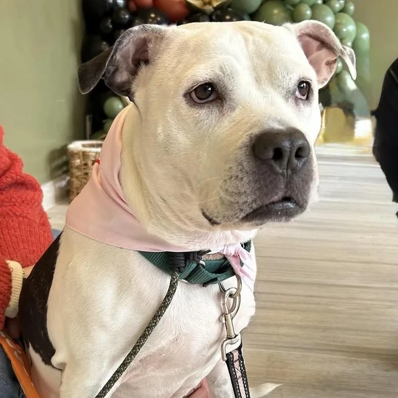 Lilly Claire thumbnail 4