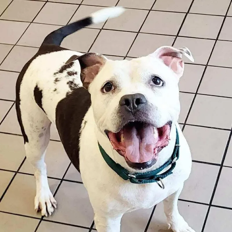 Lilly Claire thumbnail 5