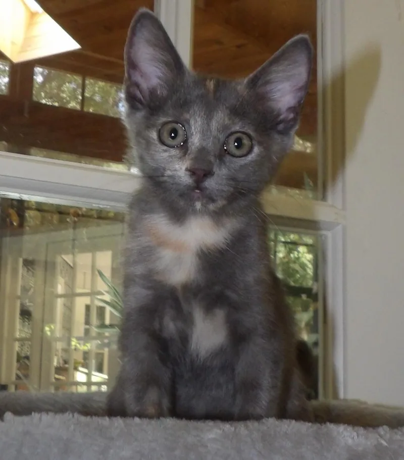 Missy thumbnail 3