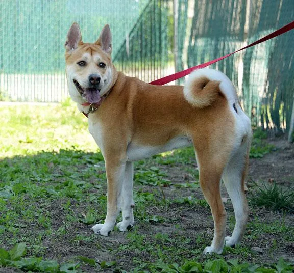 Isabellaizzy thumbnail 2