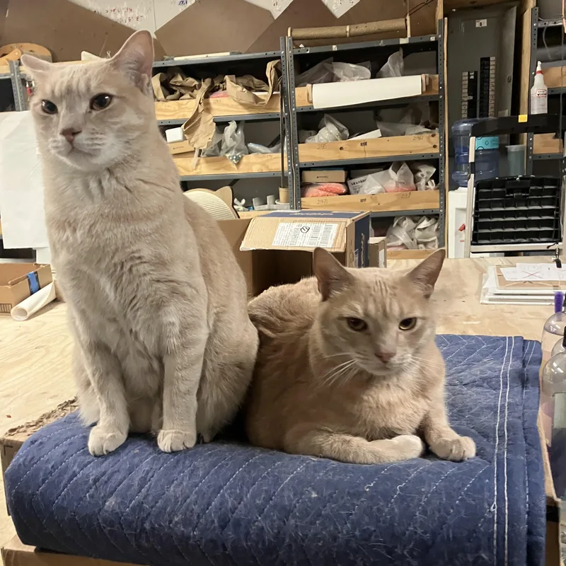 Onyx And Bianco thumbnail 5