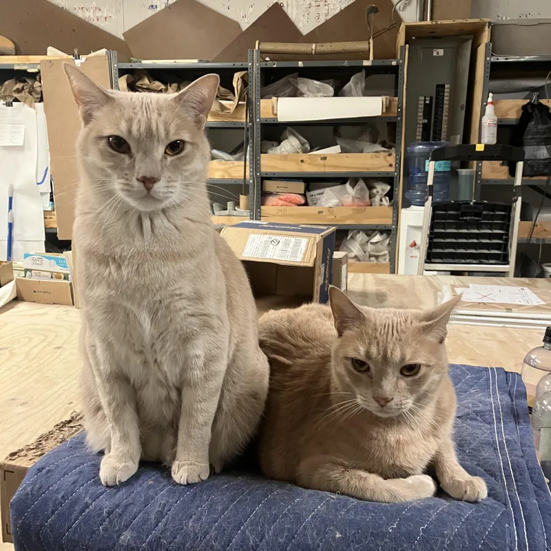 Onyx And Bianco thumbnail 6