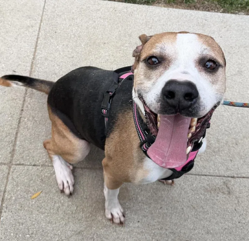 Ready For His Forever