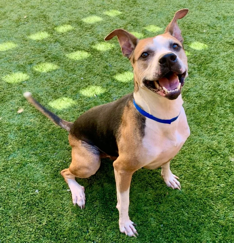 Ready For His Forever thumbnail 2