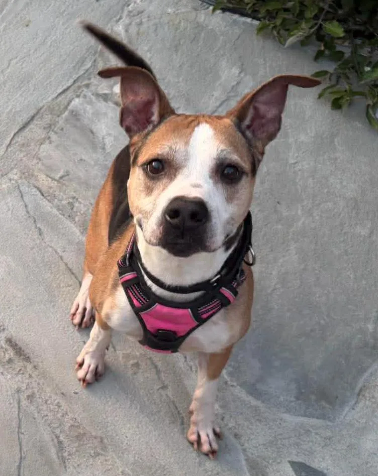 Ready For His Forever thumbnail 3