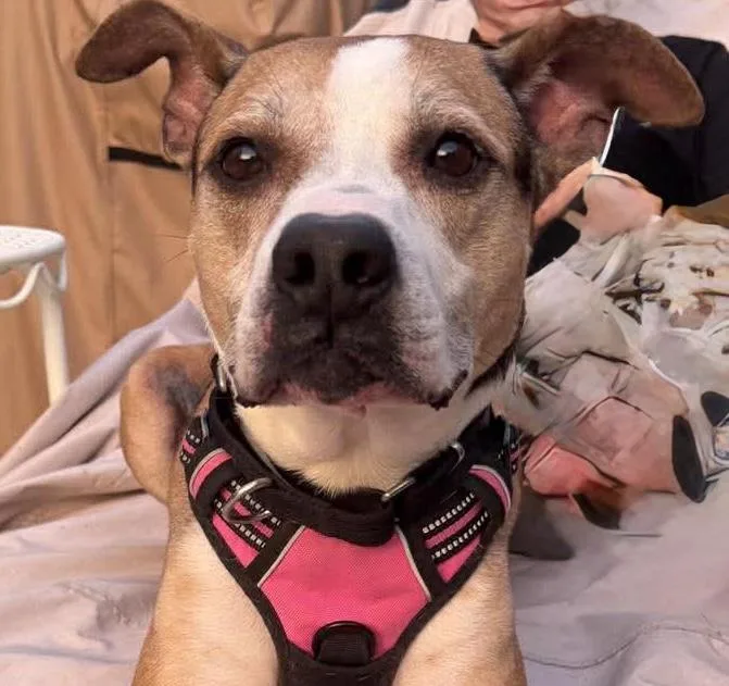 Ready For His Forever thumbnail 4