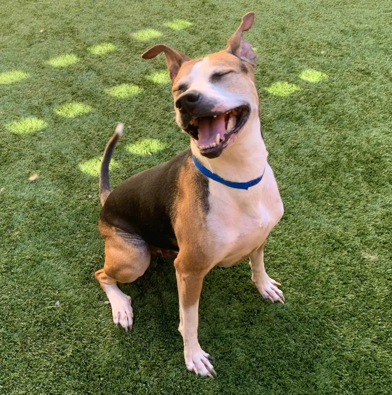 Ready For His Forever thumbnail 5