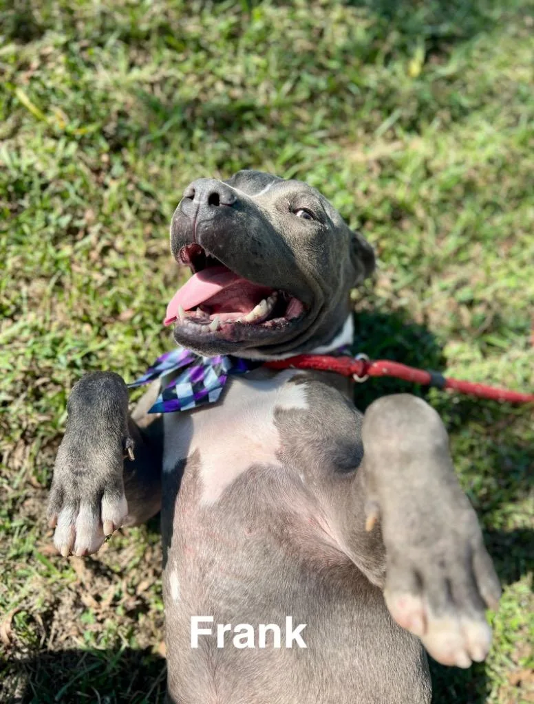 Frank
