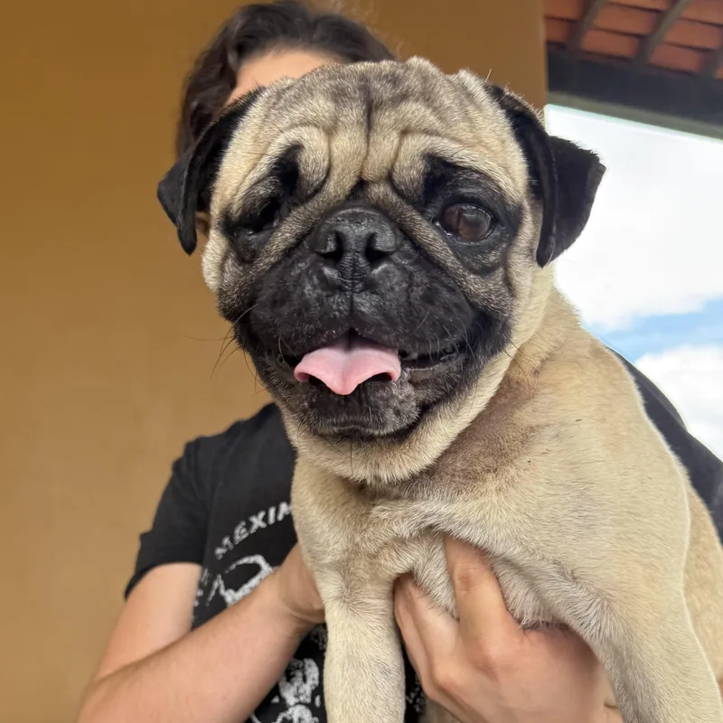 George thumbnail 5