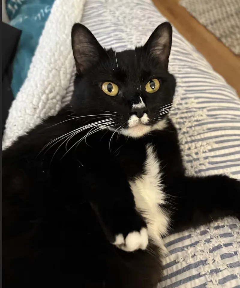 Becky With The Good thumbnail 3