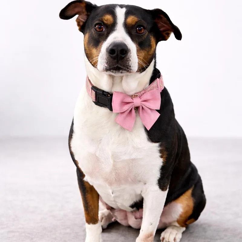 Tootsie Gs thumbnail 4