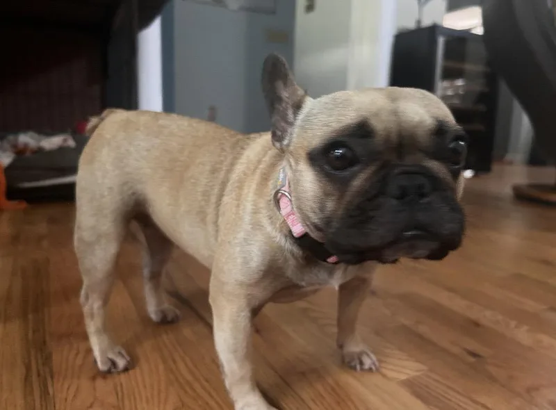 Nora