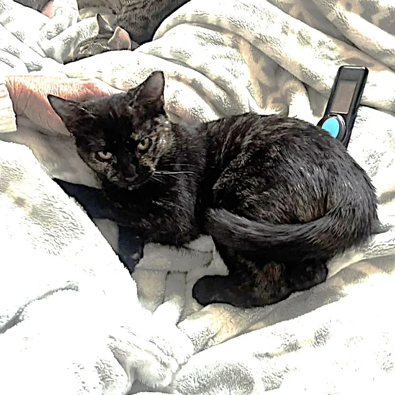 Freckles thumbnail 5