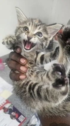 Zaza