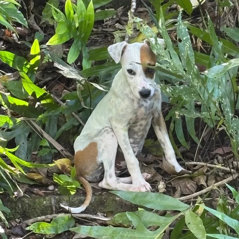 Patch "who Is Your thumbnail 3