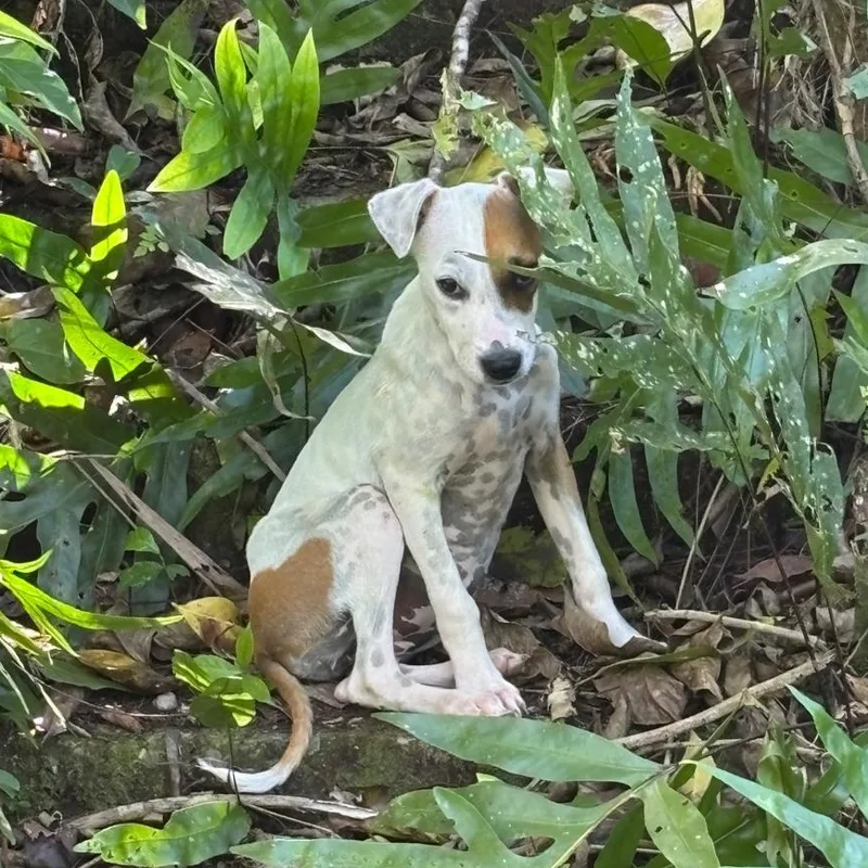 Patch "who Is Your thumbnail 6