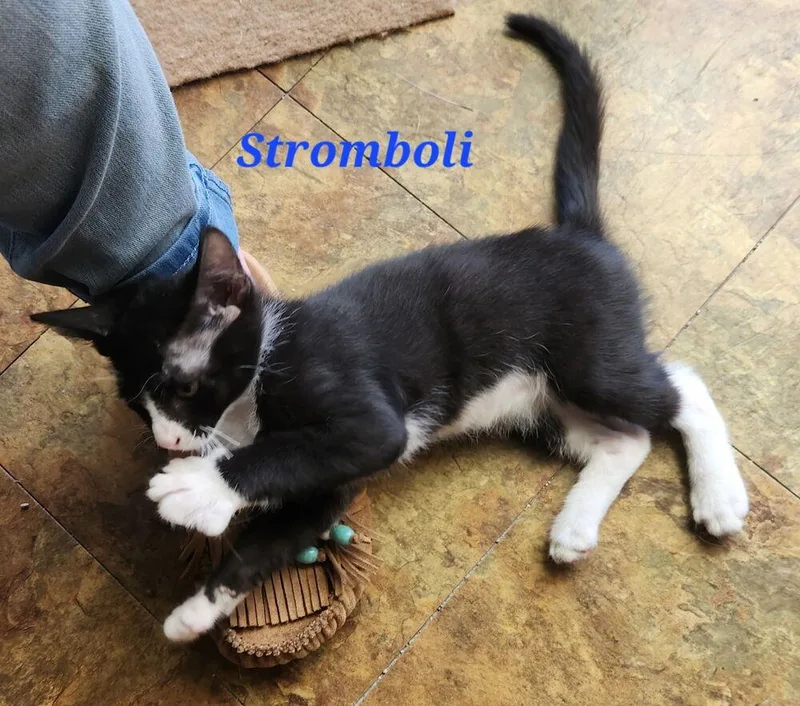 Stromboli thumbnail 2