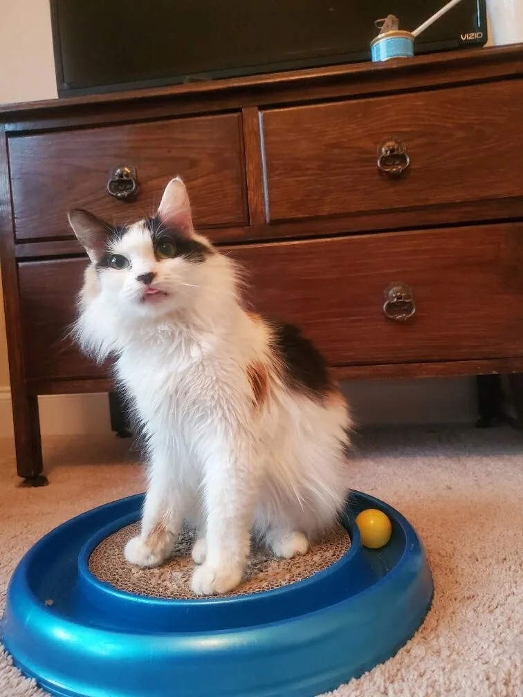 Sabrina Mae thumbnail 2