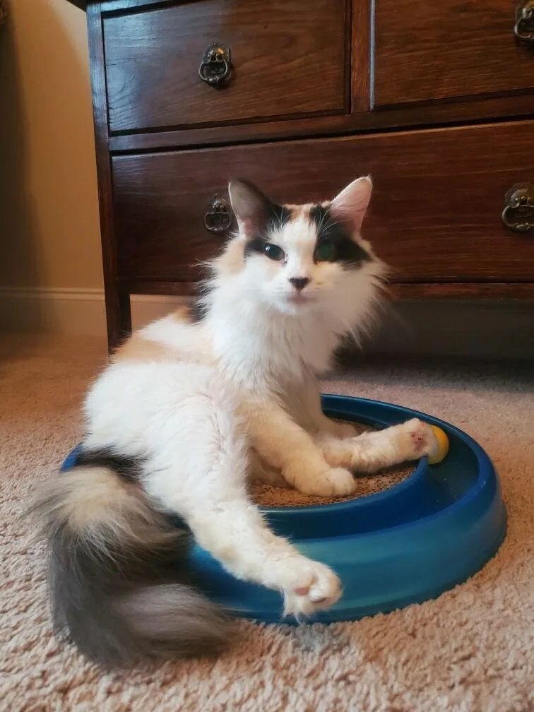 Sabrina Mae thumbnail 3