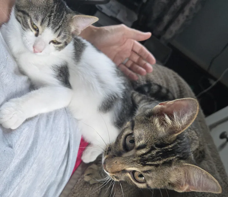 Hugsy And Meer thumbnail 2