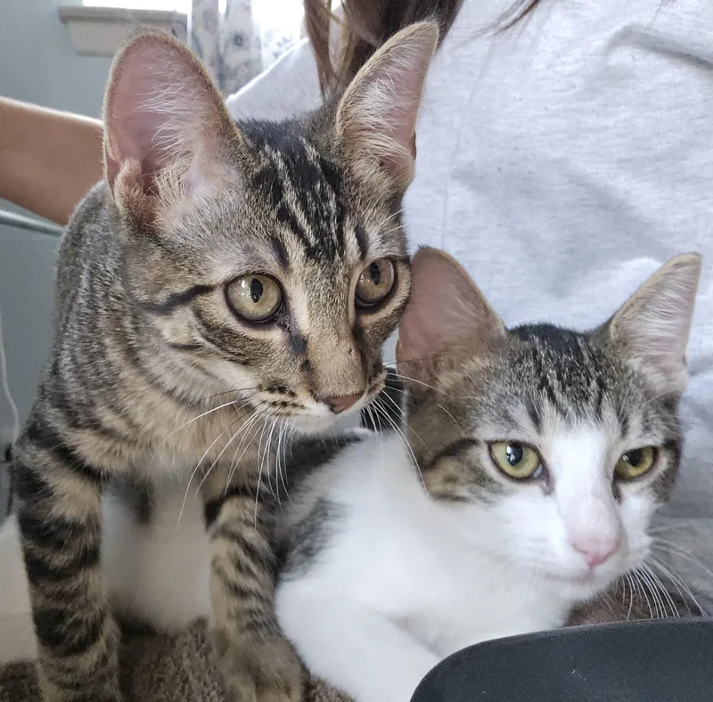 Hugsy And Meer thumbnail 3